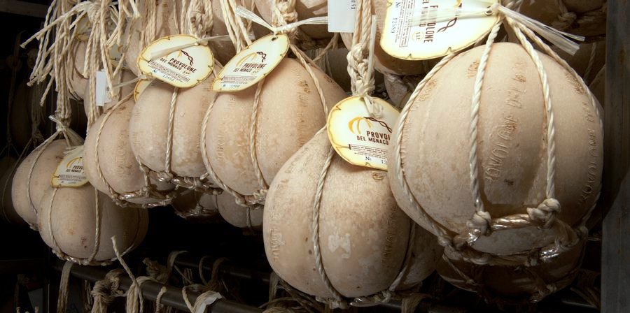 The Monaco Provolone cheese is prepared with the milk of the Agerolese cow, giving this type of cheese its unique taste and smell. Unfortunately, the Agerolese cow is being replaced by more productive breeds such as the Italian Frisian. Photo ©http://www.agricoltura.regione.campania.it/ 